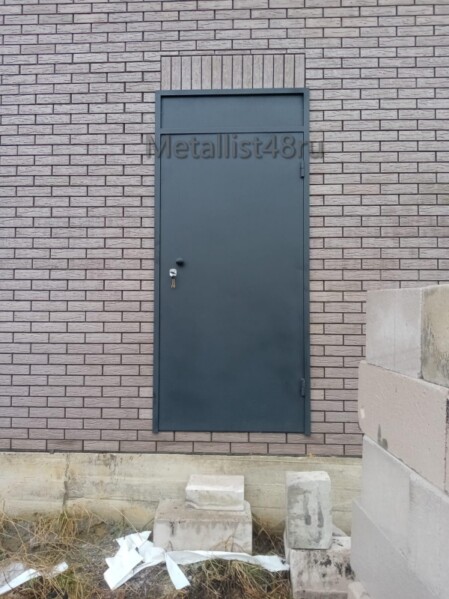 Двери входные металлические №-1