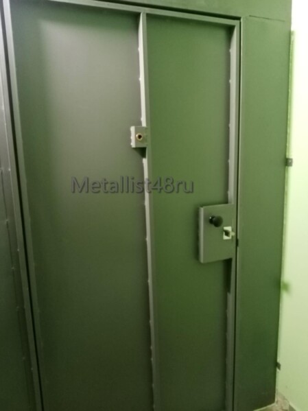 Двери входные металлические №-20